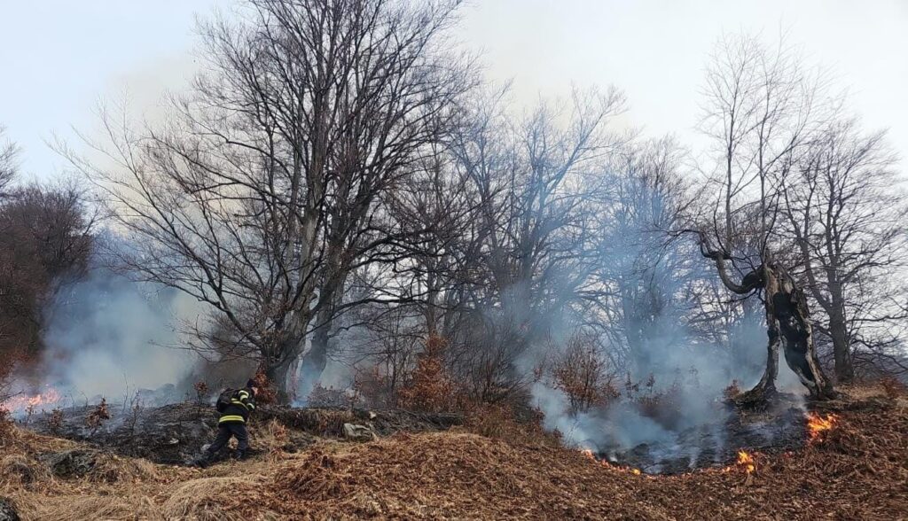 Pompierii mehedințeni continuă să stingă incendiul din Isverna