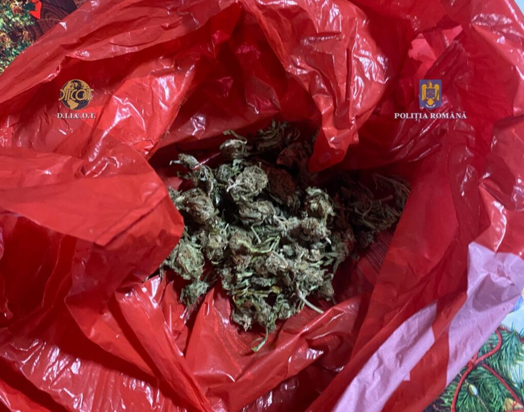 (VIDEO) Doljean prins în flagrant cu peste un kilogram de canabis