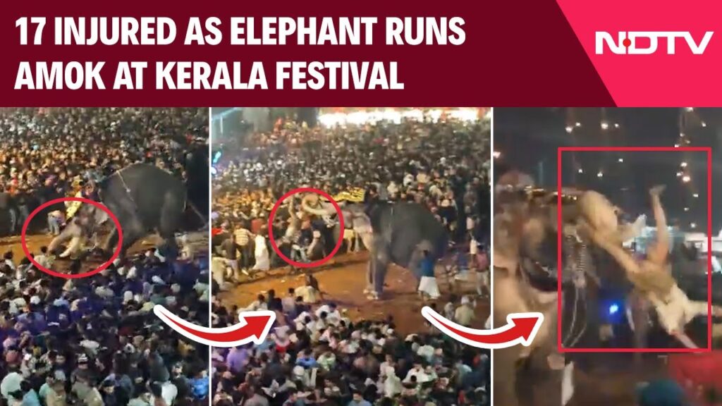 (VIDEO) Peste 20 de răniți în timp ce un elefant devine violent în timpul festivalului din Kerala, India