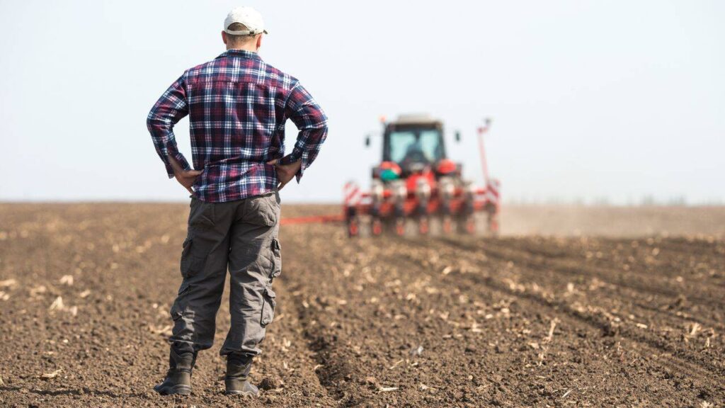 APIA a autorizat la plată aproape 323 de milioane de euro, în ultima lună