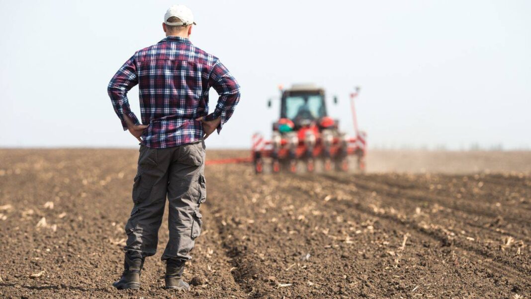 APIA a autorizat la plată aproape 323 de milioane de euro, în ultima lună