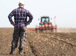 APIA a autorizat la plată aproape 323 de milioane de euro, în ultima lună