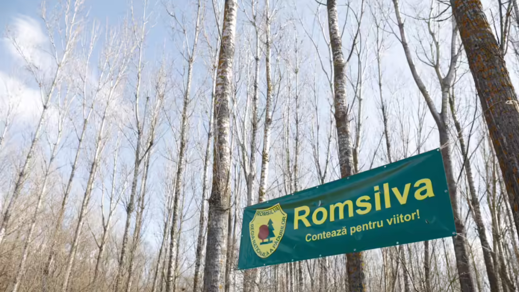 Ministrul Mediului, nemulțumit de noul director general al Romsilva