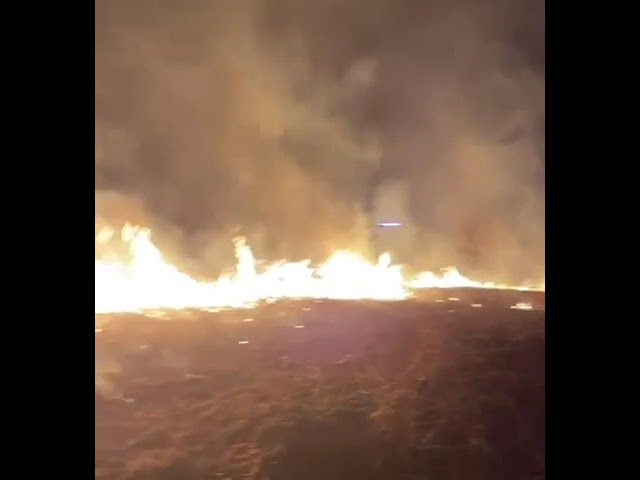 (VIDEO) Mehedinți: Incendiu de vegetație uscată în Malovăț