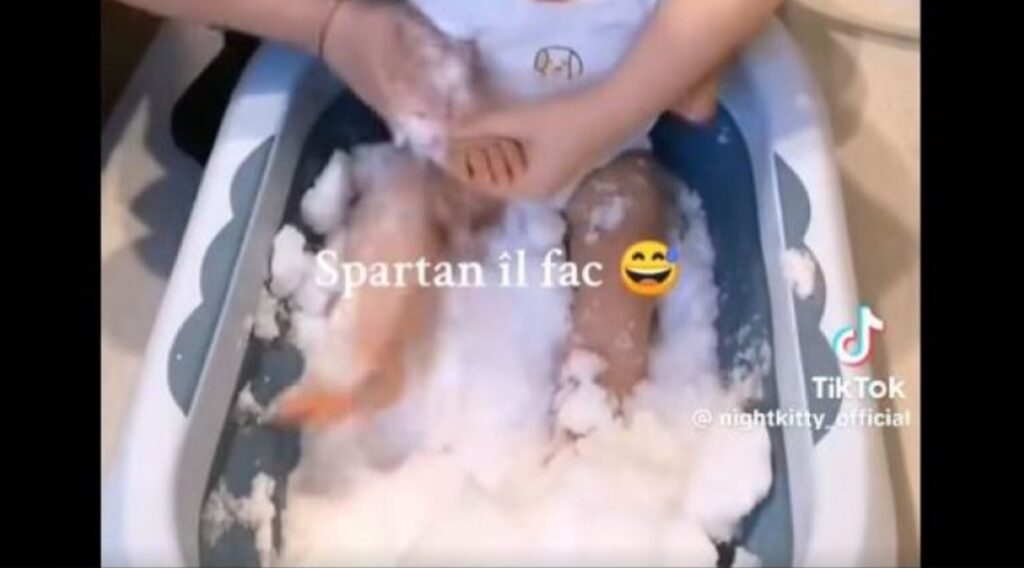 (VIDEO) Femeia care și-a „spălat“ copilul cu zăpadă, cercetată penal