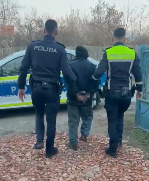 (VIDEO) Dolj: Un bărbat de 70 de ani, sub control judiciar după ce a dat cu toporul în ușa poliției