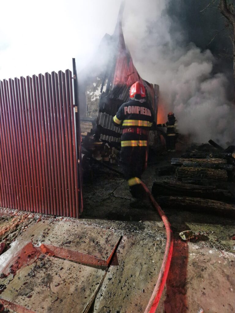 Dolj: Incendiu la o  gospodărie din Predești