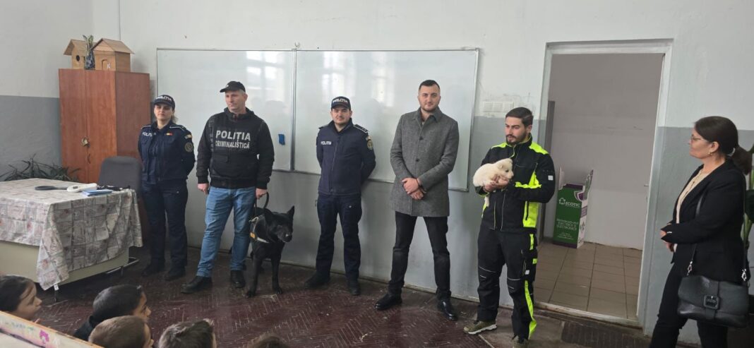 Gorj: Campanie pentru protecția animalelor, în rândul elevilor din Dănești
