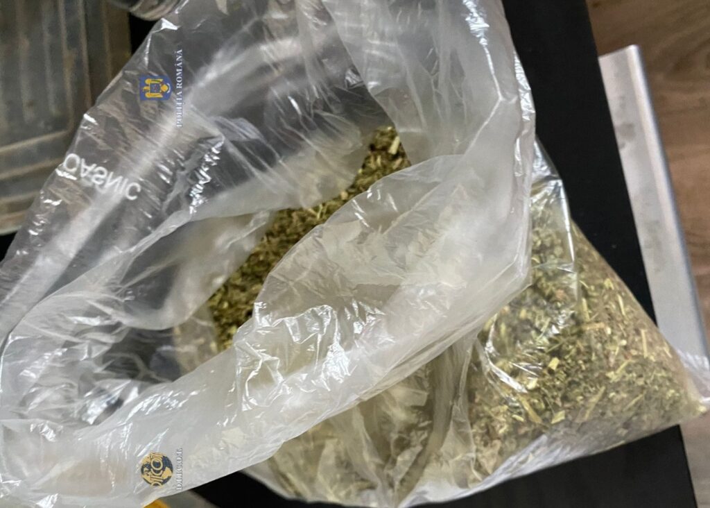 Vânzători de etnobotanice, în arest preventiv