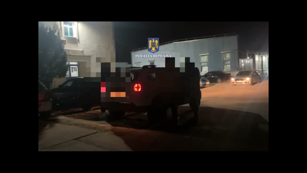 (VIDEO) Mehedinți: Doi minori au fost reținuți pentru furt