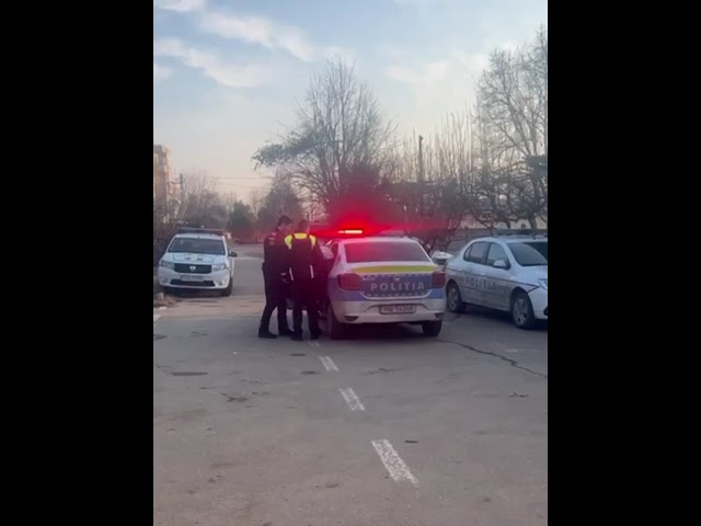 (VIDEO) Doi bărbaţi care au furat capre şi oi, reţinuţi de poliţişti