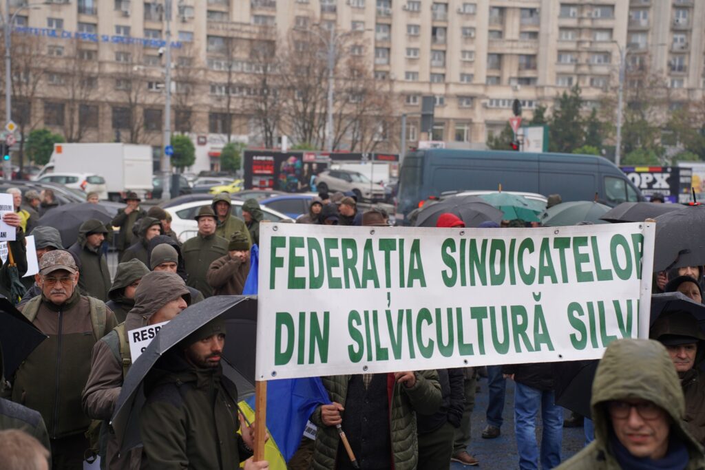 Silvicultorii protestează în faţa Ministerului Mediului, Apelor şi Pădurilor