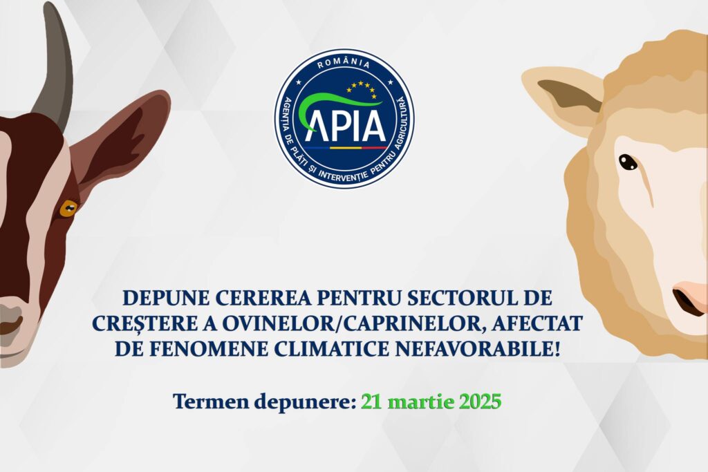 Stadiu primire cereri pentru sectorul de creștere a ovinelor/caprinelor, afectat de fenomene climatice nefavorabile