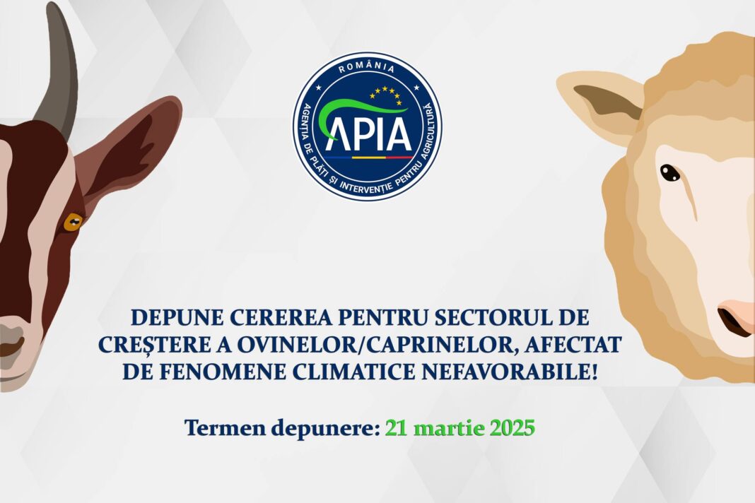 Stadiu primire cereri pentru sectorul de creștere a ovinelor/caprinelor, afectat de fenomene climatice nefavorabile