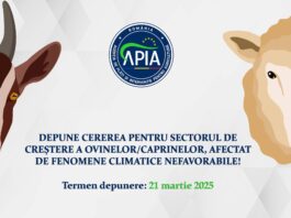Stadiu primire cereri pentru sectorul de creștere a ovinelor/caprinelor, afectat de fenomene climatice nefavorabile