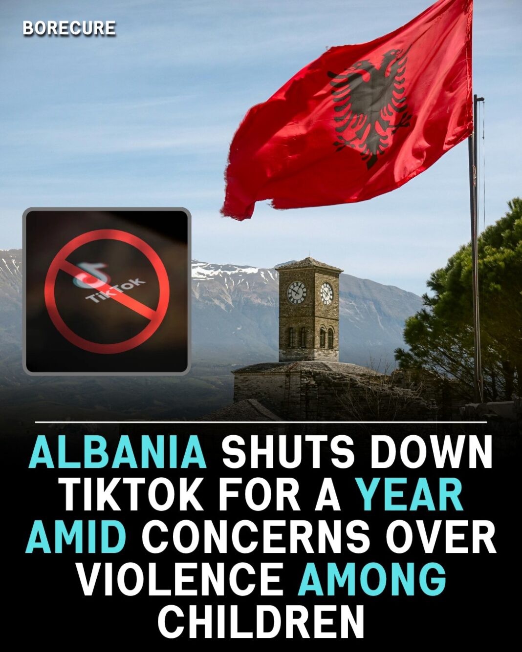 Albania interzice TikTok timp de un an. Furnizorii de internet sunt obligați să blocheze accesul la aplicație din 13 martie