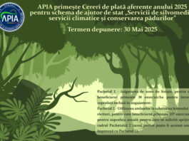 APIA primește Cereri de plată aferente anului 2025 pentru „Servicii de silvomediu, servicii climatice și conservarea pădurilor”