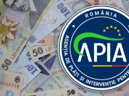 APIA a demarat campania de primire a cererilor de plată pentru anul 2025