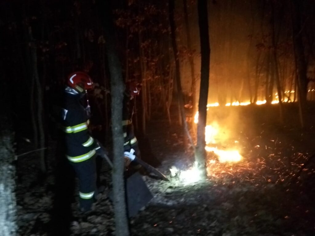 (VIDEO) 50 de hectare, mistuite de flăcări în județul Vâlcea