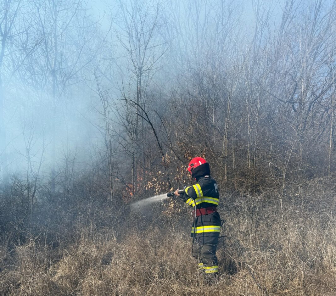 Vâlcea: Persoană cu arsuri de gradul II în urma unui incendiu de vegetație