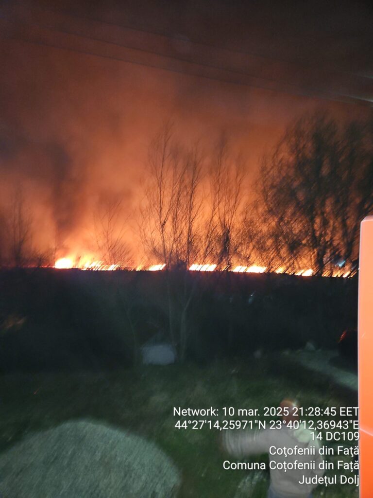 (VIDEO) Dolj: Incendiu de vegetație uscată în Beharca