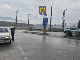 Pietonii sub lupa polițiștilor vâlceni