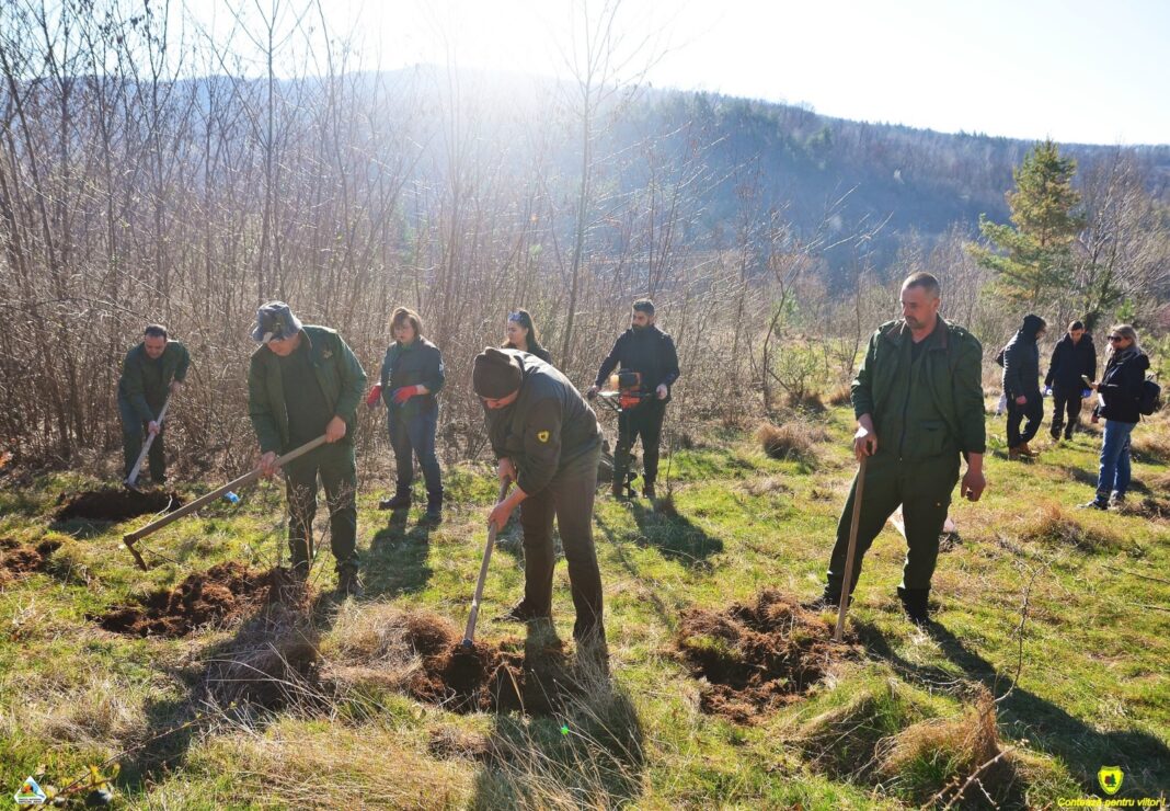 Elevii din Târgu Jiu au participat la plantări de arbori prin proiectul „Pădurea Erasmus”
