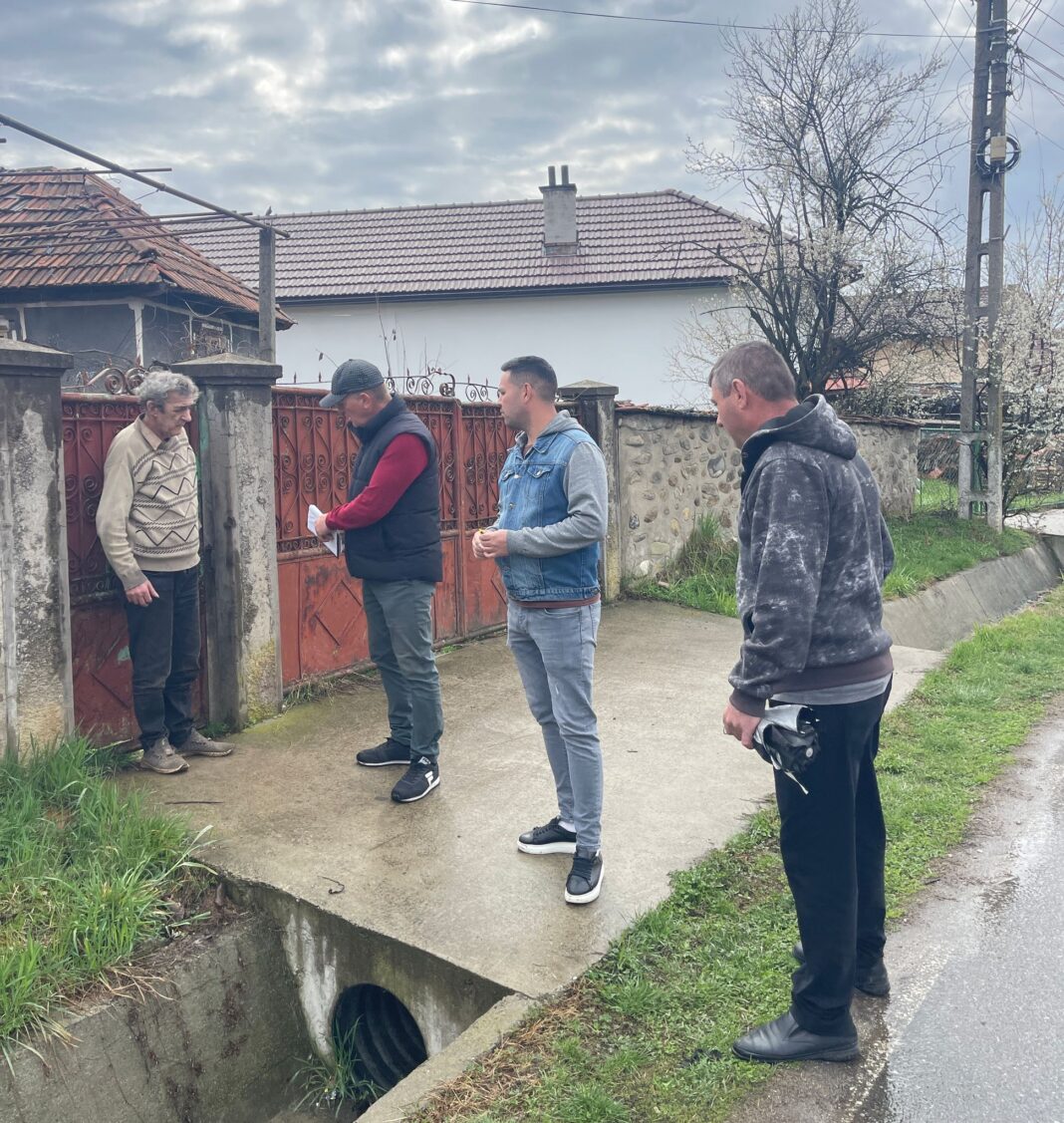Serviciul pentru Protecția Animalelor Gorj are buget pentru sterilizarea a 3.000 de câini din gospodării