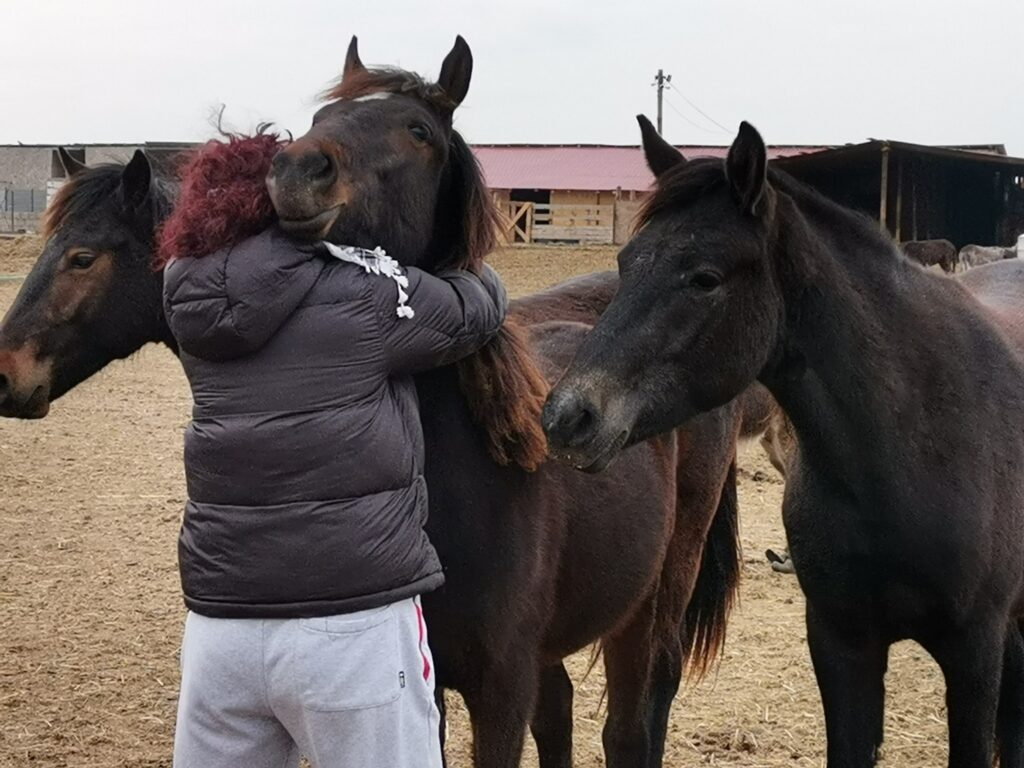 Cel mai mare adăpost de cai din România este în Desa, Dolj. Povestea Măriuței și a casei sale pentru peste 1000 de animale