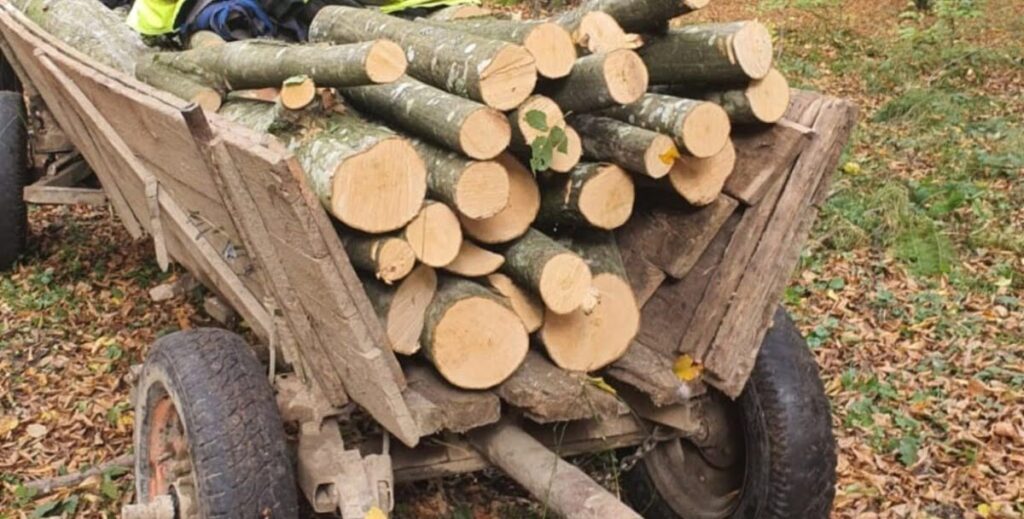 Un bărbat a murit strivit de lemnele căzute dintr-o căruţă răsturnată
