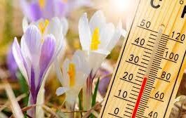 Temperaturi de 25°C, în România, în cea mai caldă zi din 2025