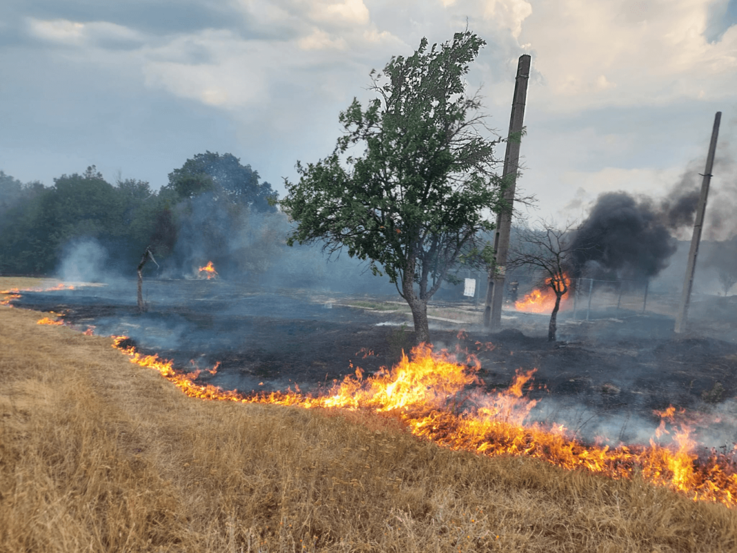 18 oameni au murit în incendiile de vegetaţie din Coreea de Sud