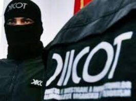 Polițiștii din cadrul Brigăzii de Combatere a Criminalității Organizate Craiova, împreună cu procurorii D.I.I.C.O.T. – Serviciul Teritorial Craiova au dispus reținerea a 4 inculpați