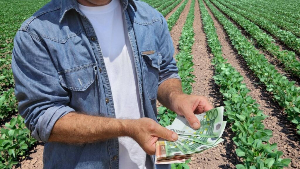 31 martie-termen depunere documente justificative pentru Sprijinul Cuplat în sectorul vegetal