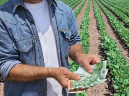 31 martie termen depunere documente justificative pentru Sprijinul Cuplat în sectorul vegetal