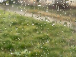 Vreme schimbătoare în următoarele două săptămâni
