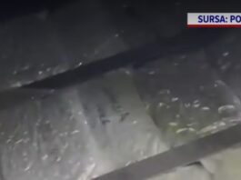 Șofer român de TIR, arestat în Italia pentru trafic de droguri