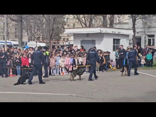 Ziua Poliției Române, marcată prin activități interactive la Craiova