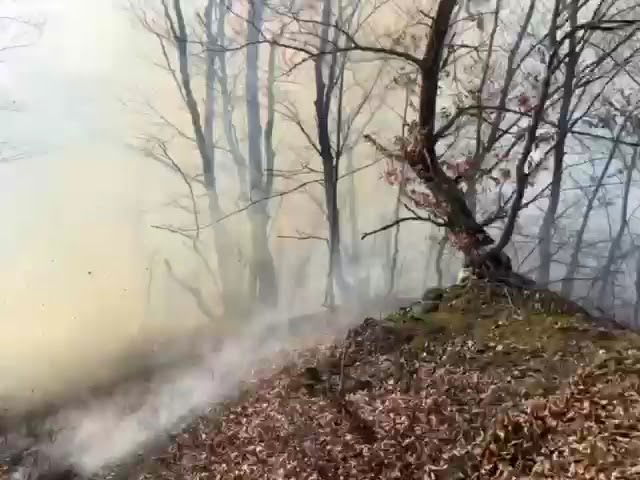 (VIDEO) 19 incendii de vegetație în județul Vâlcea