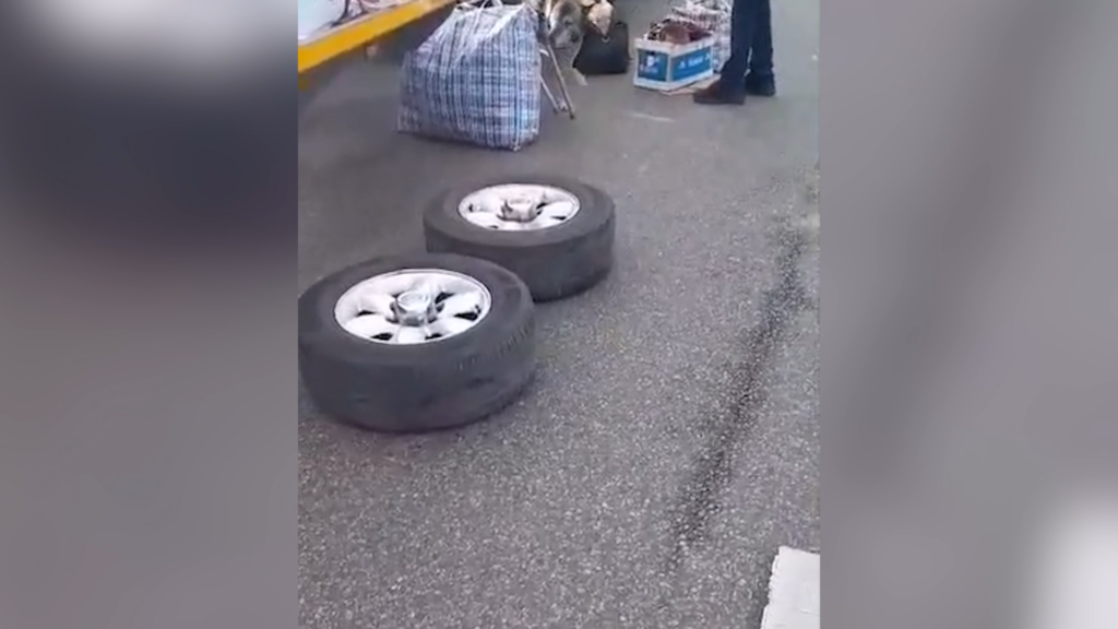 (VIDEO) Dolj: Țigări descoperite cu ajutorul unui câine polițist