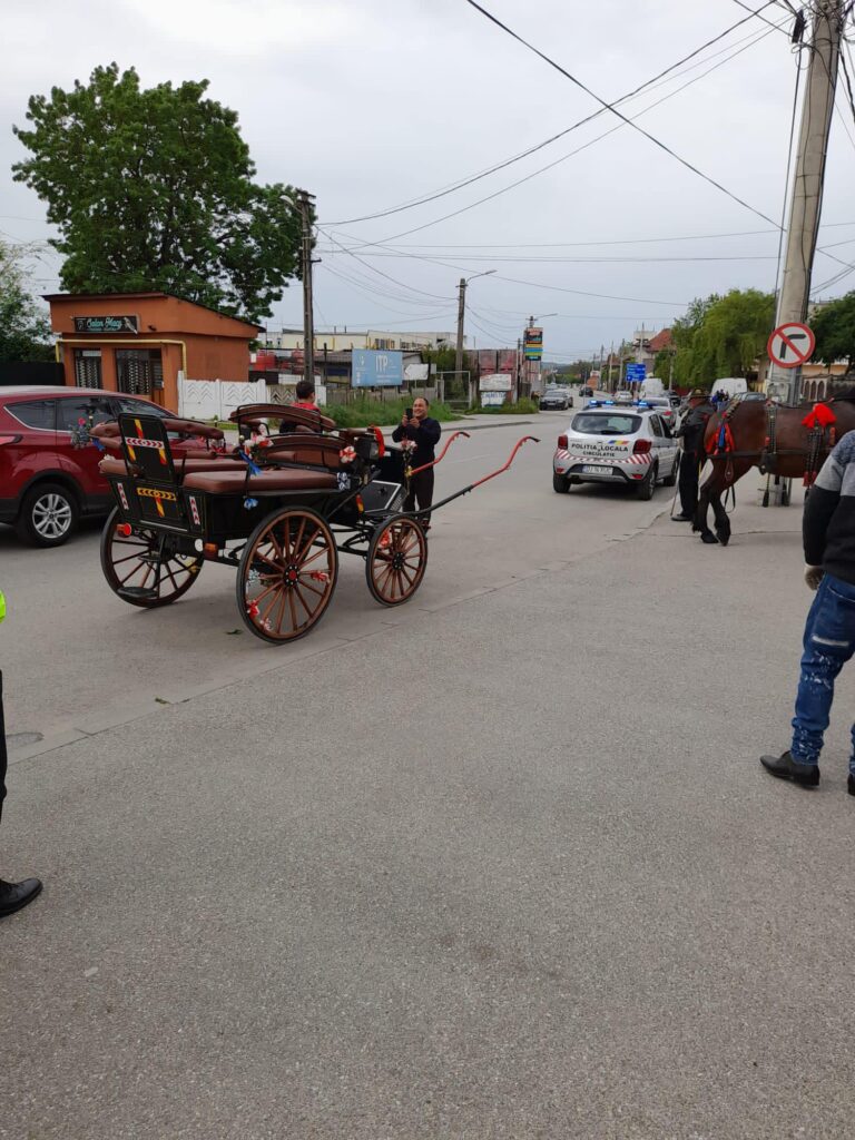 Primăria Craiova face Regulament pentru înregistrarea căruţelor şi triciclurilor din oraş