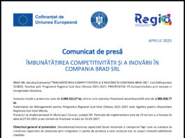 Îmbunătăţirea competitivităţii şi a inovării în compania BRAD SRL