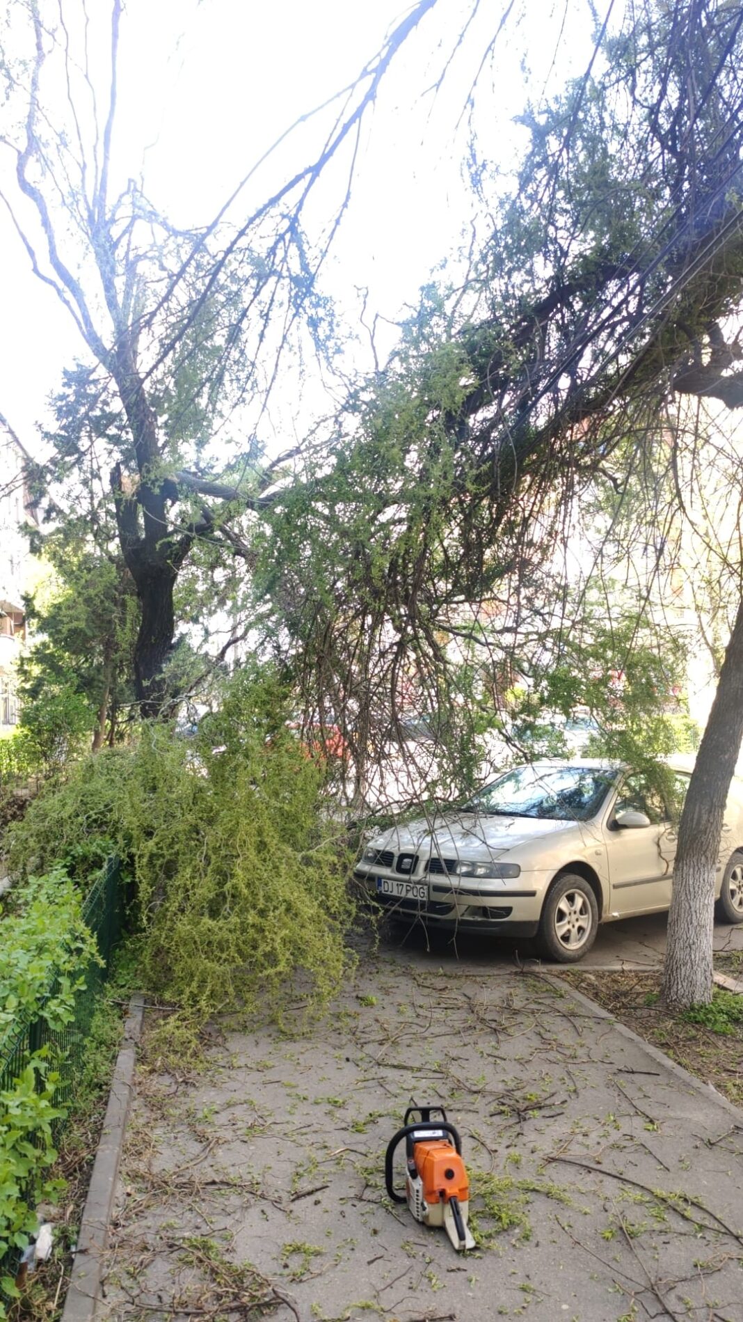 Dolj: Acoperișuri smulse de vânt şi copaci căzuți peste mașini din cauza vântului puternic