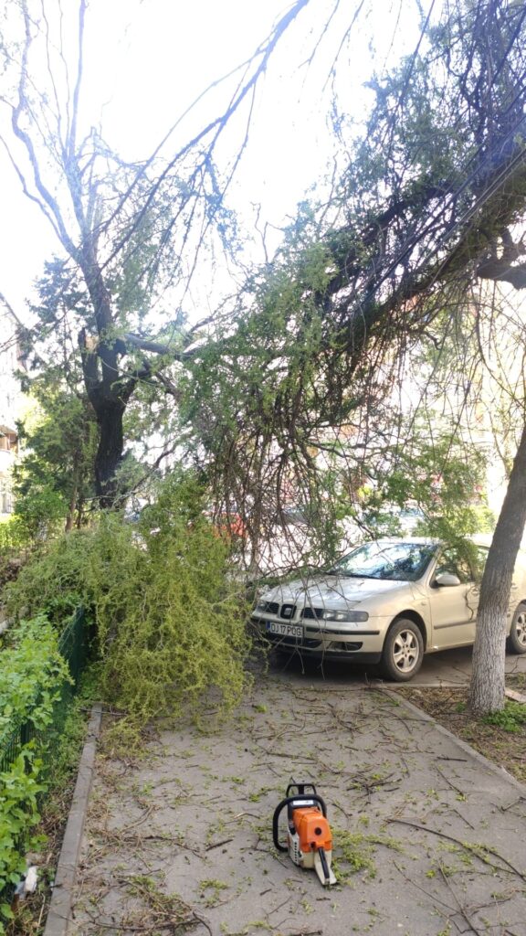 Dolj: Acoperișuri smulse de vânt şi copaci căzuți peste mașini din cauza vântului puternic