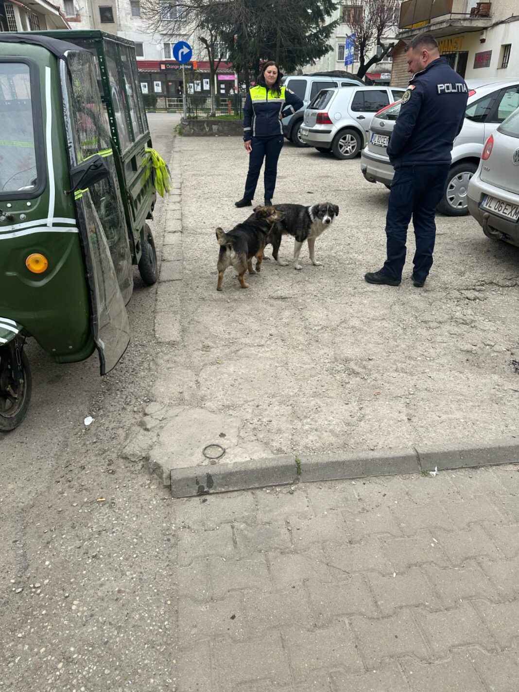 Verificări privind protecţia animalelor