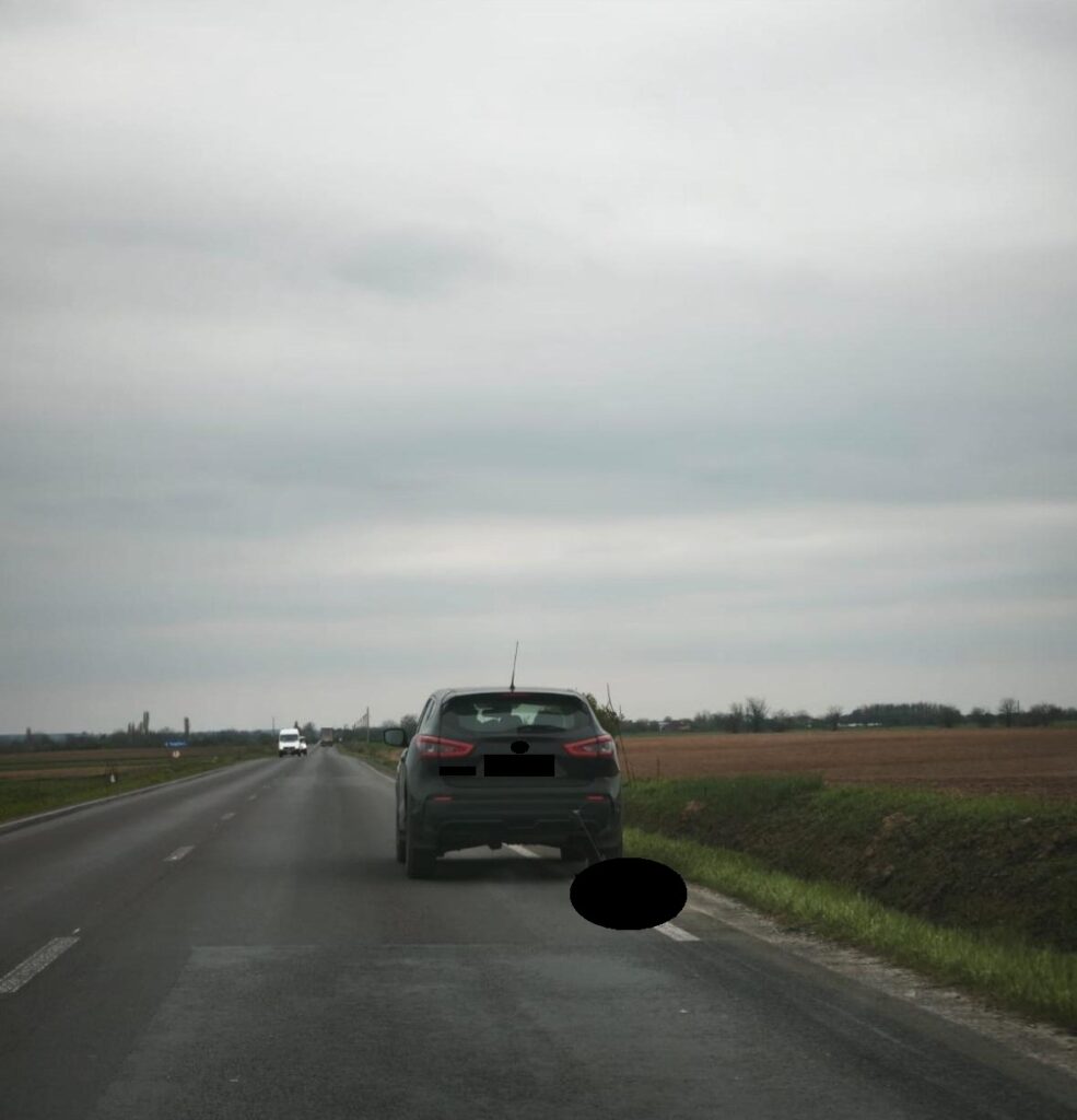 Mehedinţi: Reținut pentru schingiuirea animalelor
