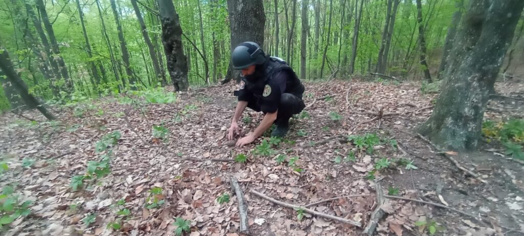 Vâlcea: Grenadă cu focos, asanată la Dăești