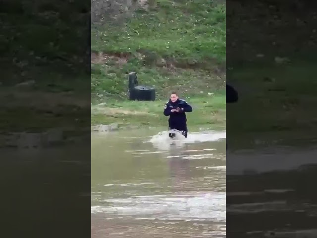 (VIDEO) Dolj: Plt. Bianca Duță, salvatoarea unui cățel aflat în mijlocul apei