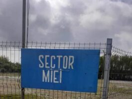 Se deschide târgul de miei din Târgu Jiu