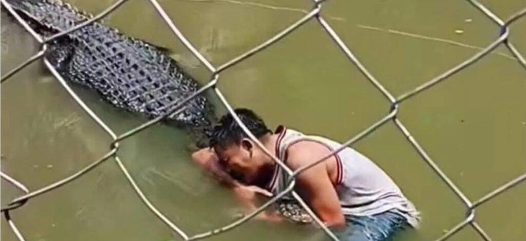 (VIDEO) Turist atacat brutal de un crocodil după ce a intrat în apă să-și facă selfie
